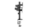 Equip 650157 uchwyt / stojak do monitorów 81,3 cm (32") Biurko Czarny