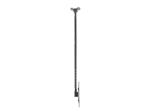 Equip 650321 uchwyt do tablic informacyjnych 177,8 cm (70") Czarny