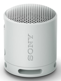 Sony SRS-XB100 Głośnik mono przenośny Szary
