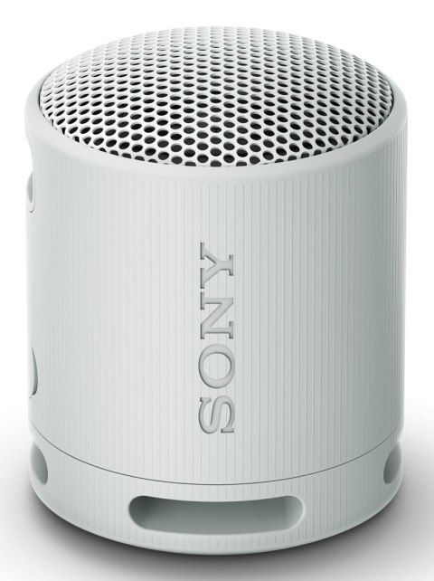 Sony SRS-XB100 Głośnik mono przenośny Szary