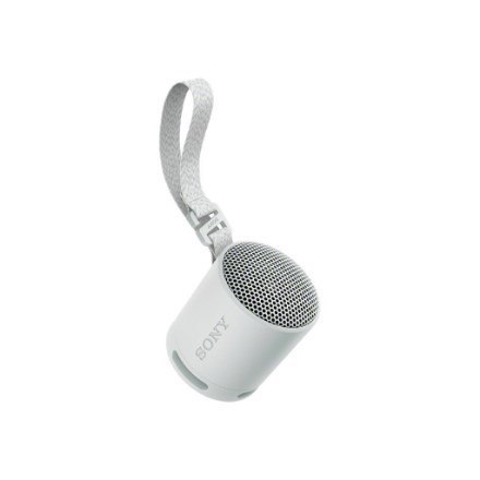 Sony SRS-XB100 Głośnik mono przenośny Szary