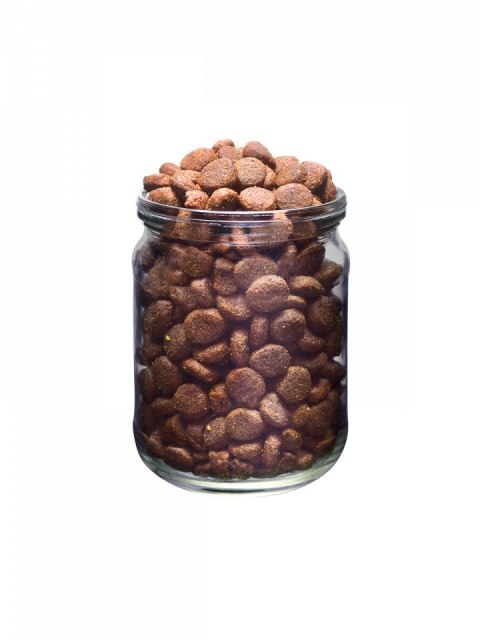 BRIT Fresh Beef & Pumpkin Puppy Large Growth & Joints - sucha karma z wołowiną i dynią dla szczeniąt ras dużych - 12 kg