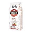 BRIT Fresh Beef & Pumpkin Puppy Large Growth & Joints - sucha karma z wołowiną i dynią dla szczeniąt ras dużych - 12 kg