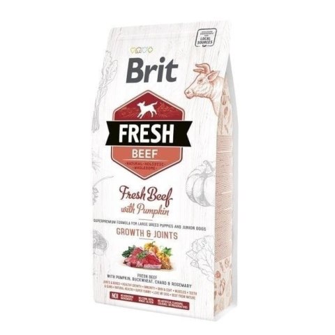 BRIT Fresh Beef & Pumpkin Puppy Large Growth & Joints - sucha karma z wołowiną i dynią dla szczeniąt ras dużych - 12 kg