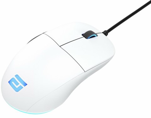 Mysz gamingowa Endgame Gear XM1 RGB po prawej stronie USB Typu-A Optyczny 16000 DPI
