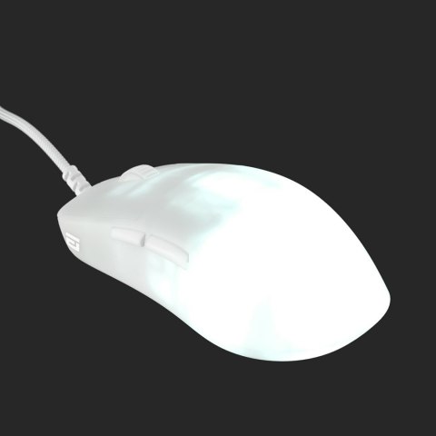 Mysz gamingowa Endgame Gear OP1 RGB Po prawej stronie USB Typu-A Optyczny 26000 DPI