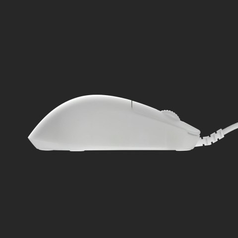 Mysz gamingowa Endgame Gear OP1 RGB Po prawej stronie USB Typu-A Optyczny 26000 DPI