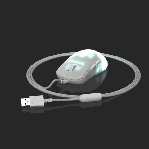 Mysz gamingowa Endgame Gear OP1 RGB Po prawej stronie USB Typu-A Optyczny 26000 DPI