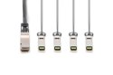 Digitus Kabel bezpośrednio podłączany 40G QSFP+ do 4 x SFP+ 1 m