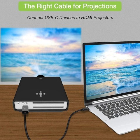 Techly IADAP USBC-HDMI2TY zewnętrzna karta graficzna usb 3840 x 2160 px Czarny