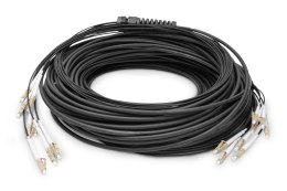 Digitus Zakończony fabrycznie uniwersalny kabel światłowodowy typu breakout, wielomodowy OM4, 8 włókien, LC/UPC - LC/UPC