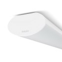 Philips Belka Projectline