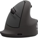 Fellowes 100143584 myszka Uniwersalne Po lewej stronie Bluetooth + USB Type-C Optyczny 2400 DPI