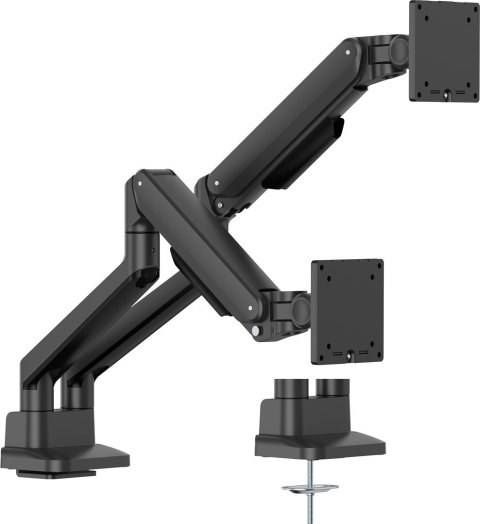 Iiyama DS4002C-B1 uchwyt / stojak do monitorów 81,3 cm (32") Biurko Czarny