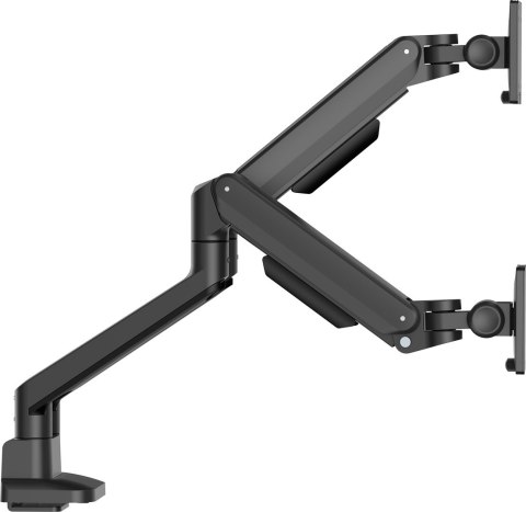 Iiyama DS4002C-B1 uchwyt / stojak do monitorów 81,3 cm (32") Biurko Czarny