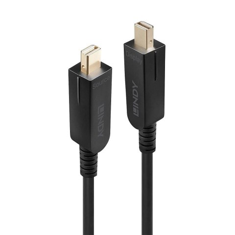 Lindy 38481 kabel DisplayPort 20 m Mini DisplayPort Czarny