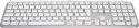 Logitech Master MX Keys S for Mac klawiatura Biuro RF Wireless + Bluetooth QWERTY Amerykański międzynarodowy Aluminium, Biały