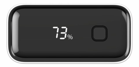 Ansmann PB222PD Litowo-polimerowy (LiPo) 20000 mAh Biały