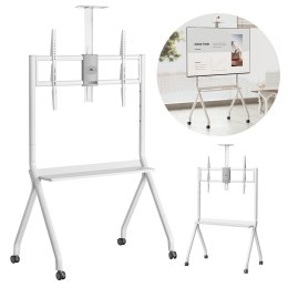MACLEAN STAND / WÓZEK DO TV, PÓŁKA NA KAMERĘ, NA KÓŁKACH, 55-100