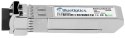 BlueOptics OMXD30000-BO moduł przekaźników sieciowych Swiatłowód 10000 Mbit/s SFP+