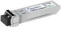BlueOptics OMXD30000-BO moduł przekaźników sieciowych Swiatłowód 10000 Mbit/s SFP+