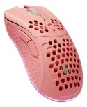Deltaco Gaming GAM-120-P klawiatura RF Wireless + USB Type-C Różowy