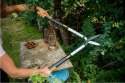 Fiskars 114800 Nożyce ogrodowe i do żywopłotu