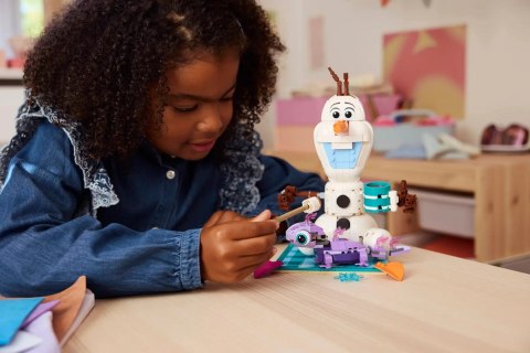 LEGO DISNEY 43287 Piknik Olafa i Bruniego