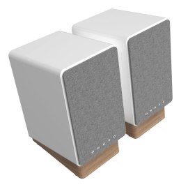 ONKYO GX-30ARC 2-drożny Szary, Biały Przewodowy i Bezprzewodowy 50 W