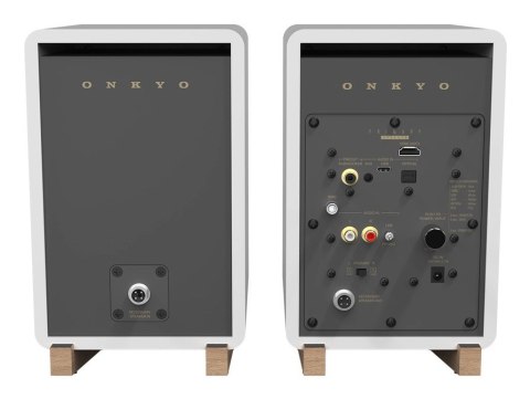 ONKYO GX-30ARC 2-drożny Szary, Biały Przewodowy i Bezprzewodowy 50 W