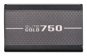 Cooler Master Elite Gold 750 moduł zasilaczy 750 W 24-pin ATX ATX Czarny