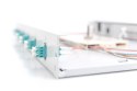 Panel krosowy FO z wyposażeniem 19'' 1U, 6x LC dx, OM3, pigtaile, adaptery, tacki, wysuwany, szary