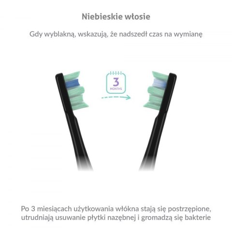 Szczoteczka soniczna TrueLife SonicBrush Clean30 Black