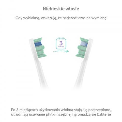 Szczoteczka soniczna TrueLife SonicBrush Clean30 White