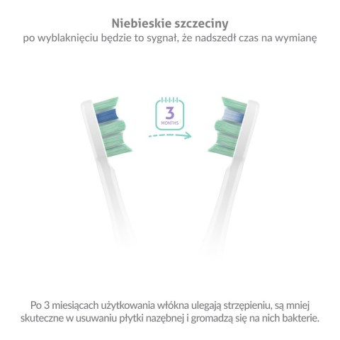 Szczoteczka soniczna TrueLife SonicBrush Clean70 UV