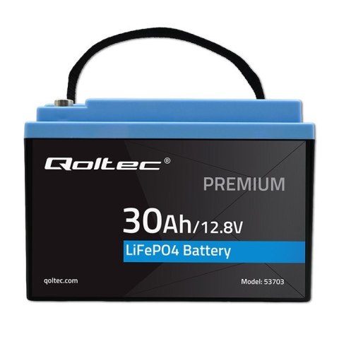 Akumulator LiFePO4 Litowo-Żelazowo-Fosforanowy 12.8V 30Ah 384Wh BMS