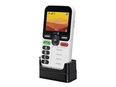 Doro Leva X10 4G, Gro?tastenhandy