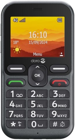 Doro Leva L10 6,1 cm (2.4