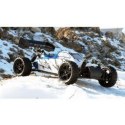 RC Buggy Amewi Blade 4WD 1:10 RTR biały/niebieski /14+