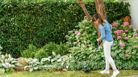 Bosch EasyGrassCut 23 23 cm 280 W Prąd przemienny Czarny, Zielony