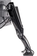 Uchwyt biurkowy Iiyama DS3002C-B1 - desk mount (adjustable arm)
