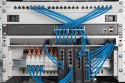 Digitus Panel na szynę DIN do montażu w szafie typu rack 482,6 mm (19"), 3U