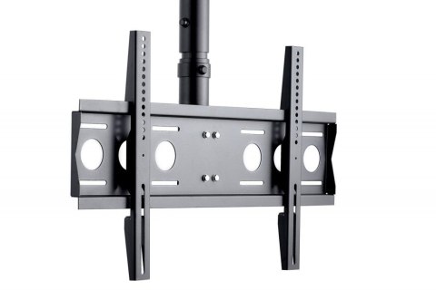 Edbak CMS21 uchwyt / stojak do monitorów 190,5 cm (75") Sufit Czarny