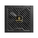Enermax ERV1000G-AHG-MAC moduł zasilaczy 1000 W 20+4 pin ATX ATX Czarny