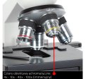 Mikroskop Delta Optical BioStage II