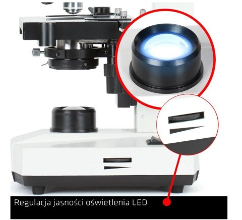 Mikroskop Delta Optical BioStage II