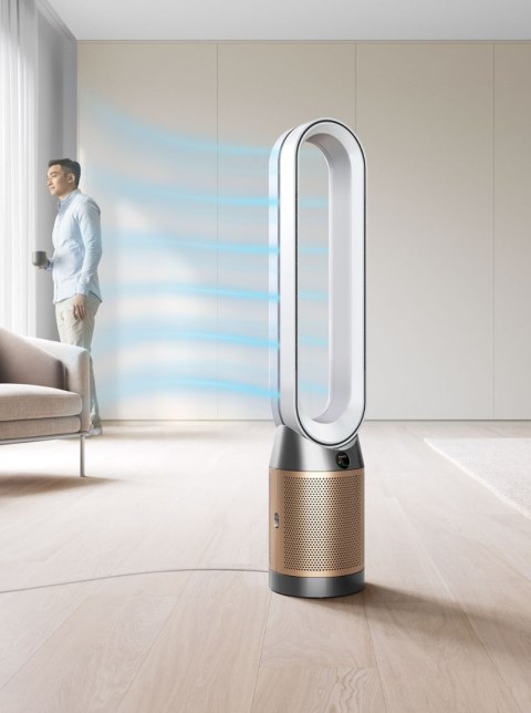 Oczyszczacz powietrza DYSON Purifier Cool PC2 De-No