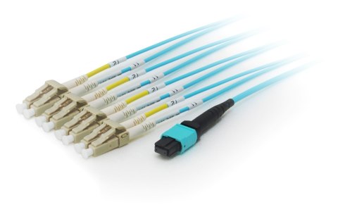 Equip Pro - Kabel krosowy MTP wielomodowy - LC Multi-Mode - 20.0m - Światłowód - 50/125 mikronów - OM4 - Akwamaryn