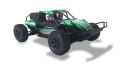 Amewi RC Buggy Łamacz Wydm 4WD 1:10 RTR/zielony /14+