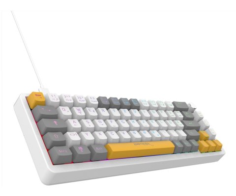 INCA Gaming Tastatur RGB/RedSwitch/USB/Mechan. 2.00m weiĂź